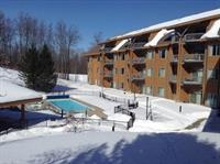 Shanty Creek Resorts - Cedar River Village Bellaire Buitenkant foto